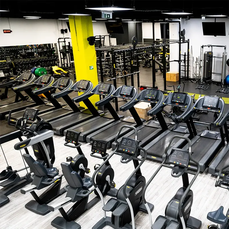 Konjarnik grupni programi