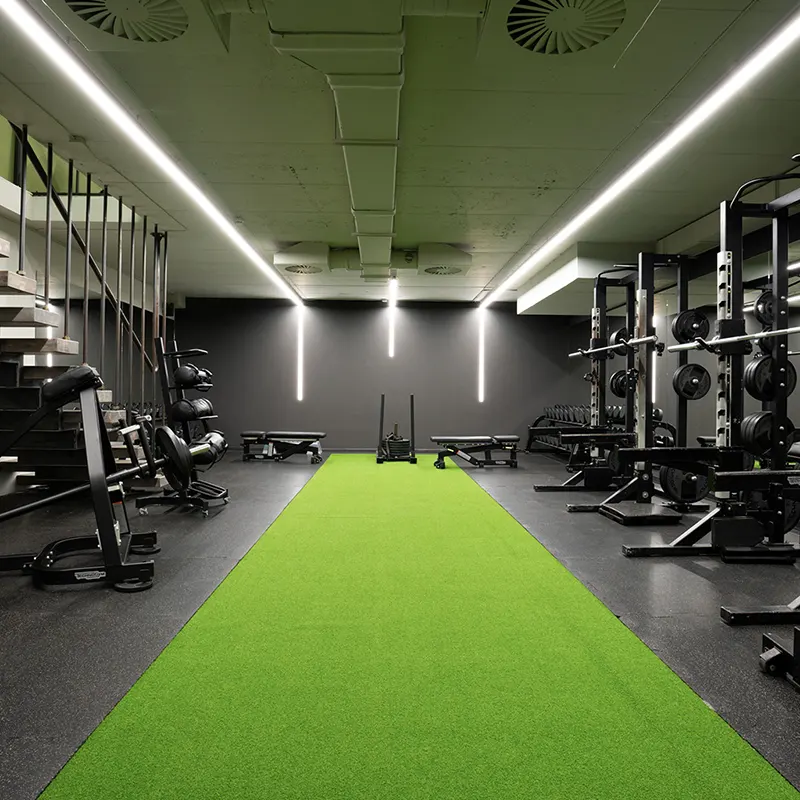 Teretana Vojvode Stepe